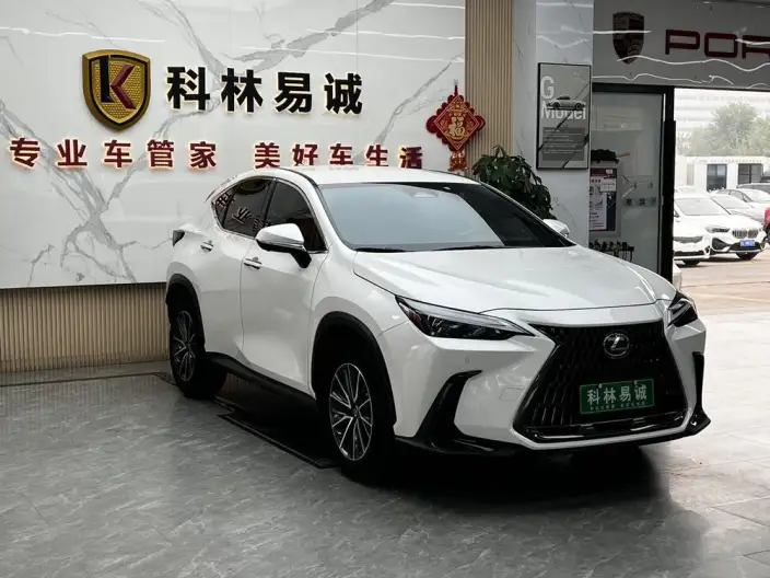 Lexus NX 2022 Model 260 Qian Drive Innovation Drive Edition – фото 3