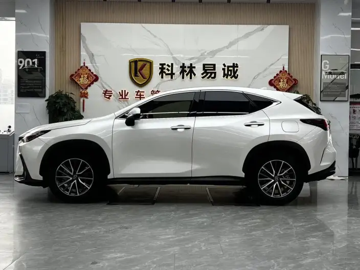 Lexus NX 2022 Model 260 Qian Drive Innovation Drive Edition – фото 4