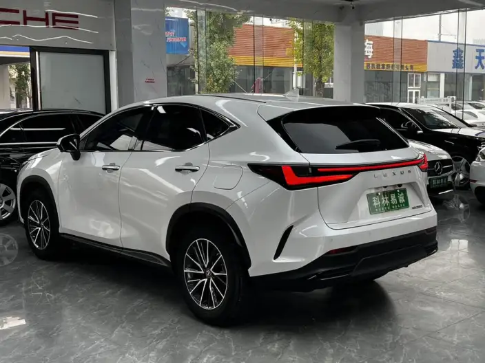 Lexus NX 2022 Model 260 Qian Drive Innovation Drive Edition – фото 5