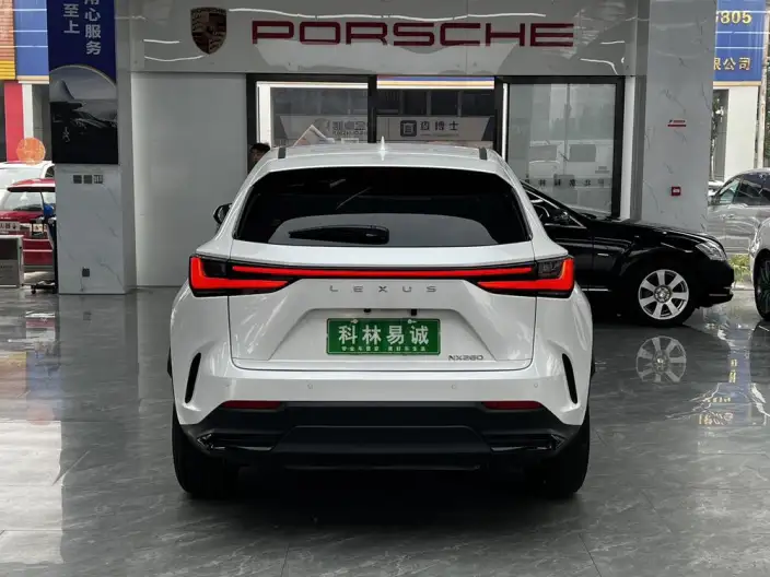 Lexus NX 2022 Model 260 Qian Drive Innovation Drive Edition – фото 6