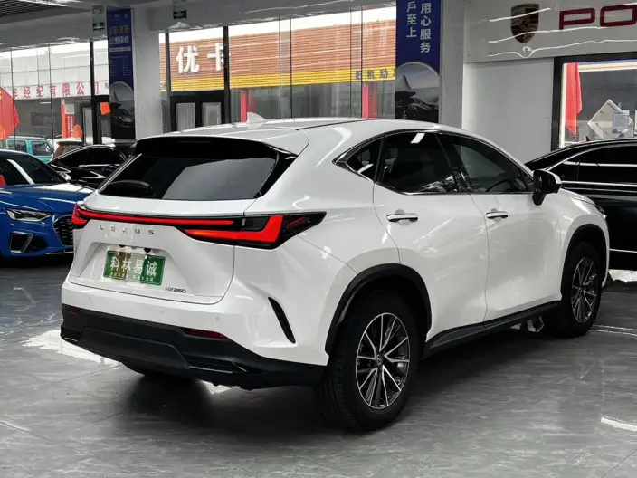 Lexus NX 2022 Model 260 Qian Drive Innovation Drive Edition – фото 7