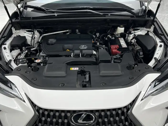 Lexus NX 2022 Model 260 Qian Drive Innovation Drive Edition – фото 8