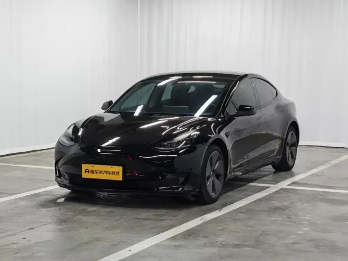 Model 3 2022 Model Rear-wheel drive version – фото 1