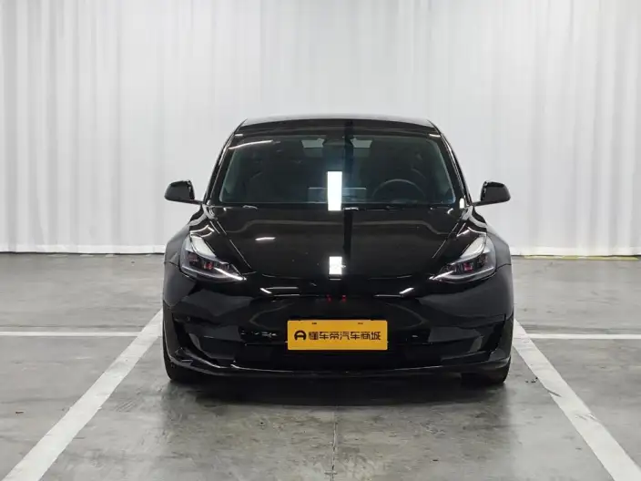 Model 3 2022 Model Rear-wheel drive version – фото 2