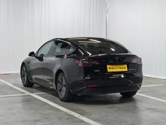 Model 3 2022 Model Rear-wheel drive version – фото 5