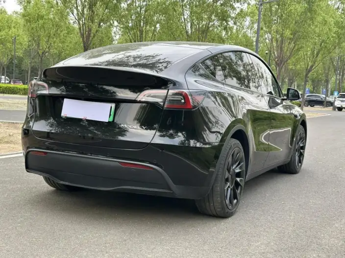 Model Y 2022 Model Facelift Long Battery Life Pro All-wheel drive version – фото 6