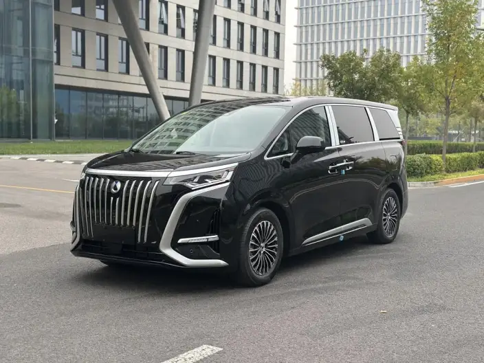 Denza D9 EV 2024 Model 620 2WD Exclusive Model – фото 1