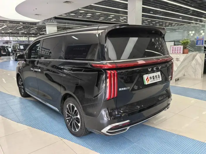 Wey Gaoshan P HEV 2025 Model 4WD Wey Gaoshan 7