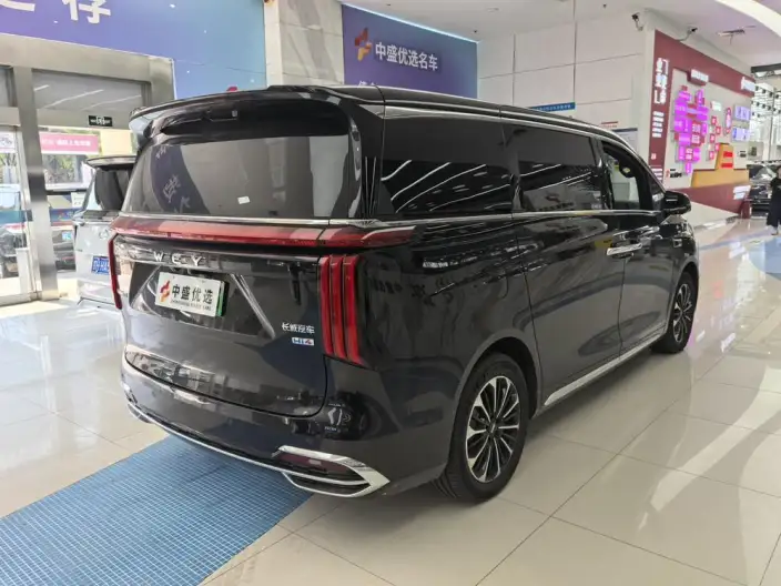 Wey Gaoshan P HEV 2025 Model 4WD Wey Gaoshan 7 – фото 6