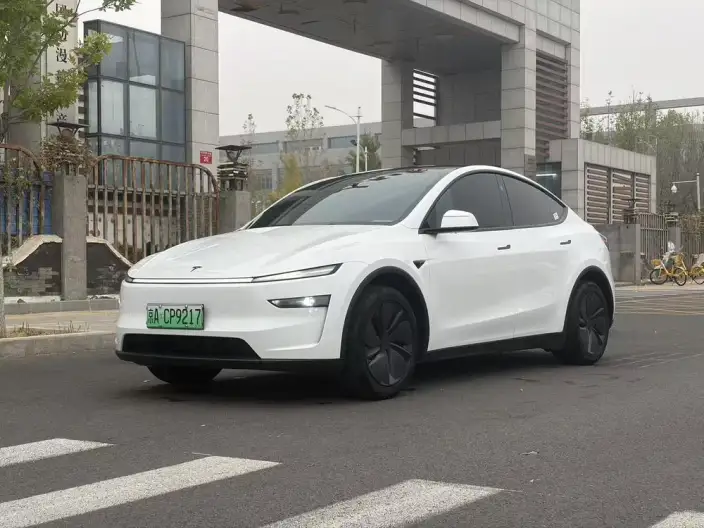 Model Y 2026 Model Long Battery Life Pro Rear-wheel drive version – фото 1