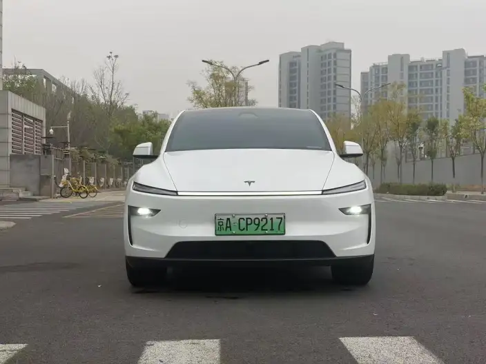 Model Y 2026 Model Long Battery Life Pro Rear-wheel drive version – фото 2