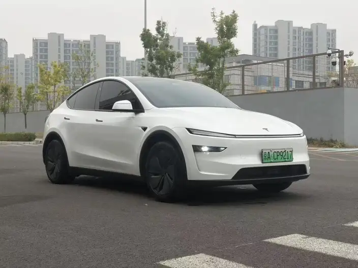 Model Y 2026 Model Long Battery Life Pro Rear-wheel drive version – фото 3