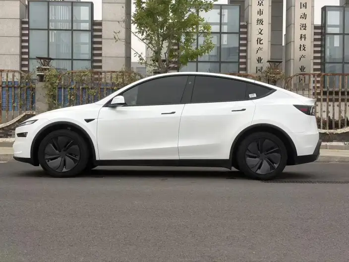 Model Y 2026 Model Long Battery Life Pro Rear-wheel drive version – фото 4
