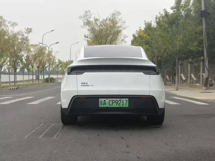 Model Y 2026 Model Long Battery Life Pro Rear-wheel drive version – фото 6