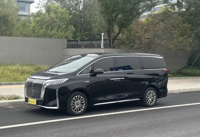 Wey Gaoshan P HEV 2025 Model 4WD Wey Gaoshan 8
