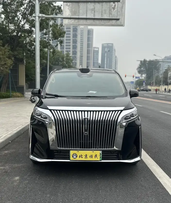 Wey Gaoshan P HEV 2025 Model 4WD Wey Gaoshan 8
