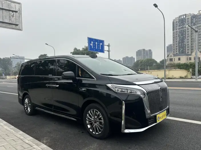 Wey Gaoshan P HEV 2025 Model 4WD Wey Gaoshan 8