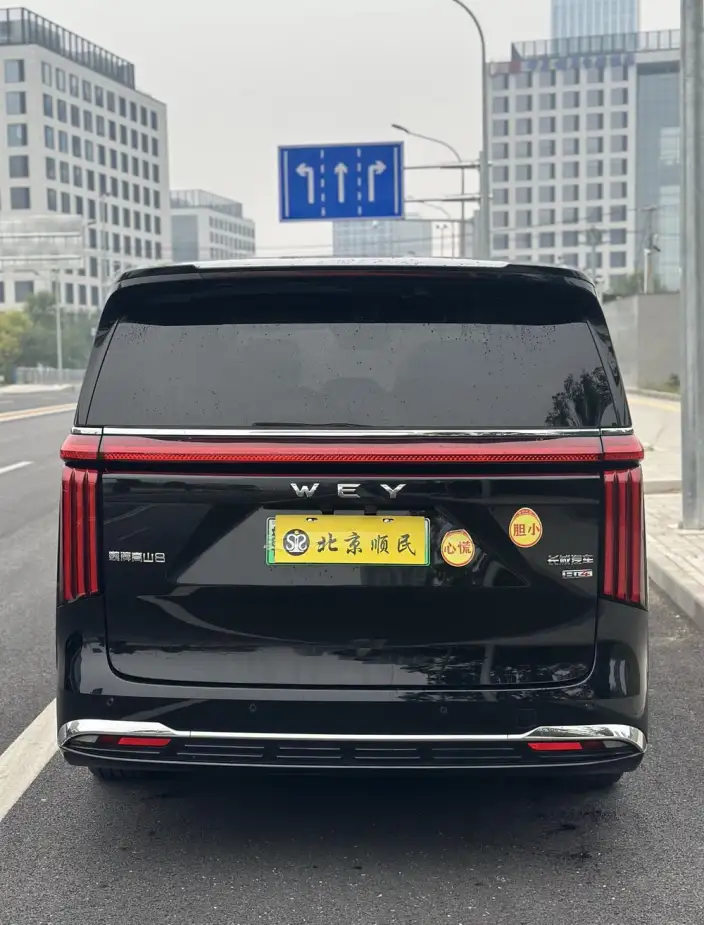 Wey Gaoshan P HEV 2025 Model 4WD Wey Gaoshan 8 – фото 6