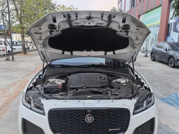 Jaguar F-PACE 2023 Model P250 R-Dynamic BLACK – фото 9