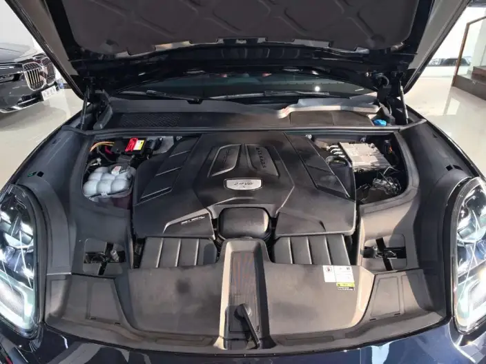 Cayenne 2020 Model Cayenne S 2.9T – фото 6