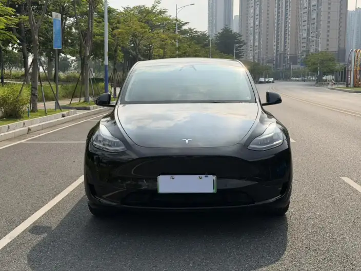 Model Y 2022 Model Facelift Rear-wheel drive version – фото 2