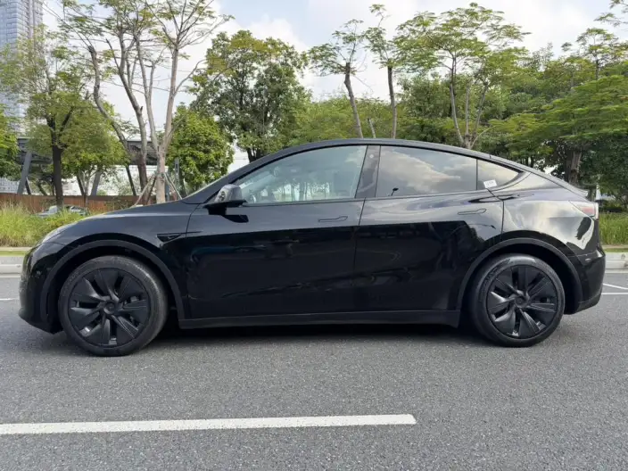 Model Y 2022 Model Facelift Rear-wheel drive version – фото 4