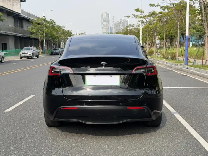 Model Y 2022 Model Facelift Rear-wheel drive version – фото 6