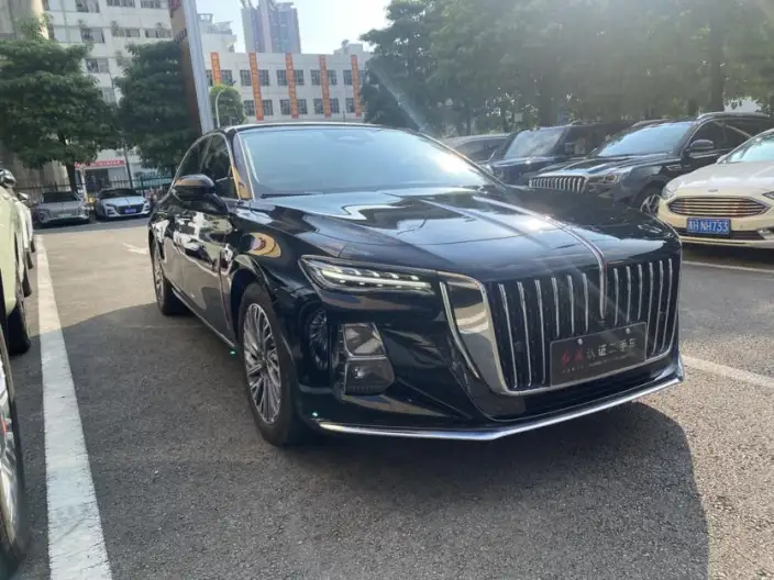 Hongqi H5 2023 Model 2.0T Automatic Flag Enjoy Edition – фото 3