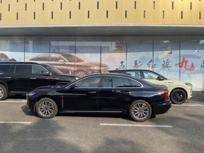 Hongqi H5 2023 Model 2.0T Automatic Flag Enjoy Edition – фото 4