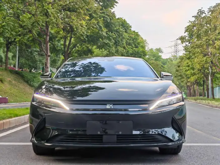 BYD Han EV 2020 Model Ultra-long Endurance Luxury Model – фото 2