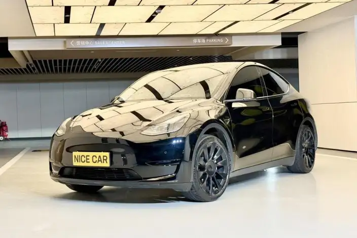 Model Y 2022 Model Rear-wheel drive version – фото 1