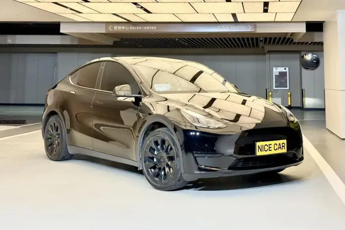 Model Y 2022 Model Rear-wheel drive version – фото 3