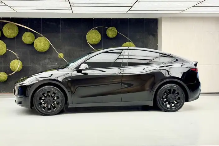 Model Y 2022 Model Rear-wheel drive version – фото 4
