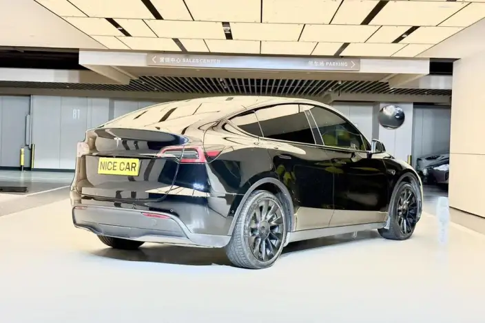 Model Y 2022 Model Rear-wheel drive version – фото 6