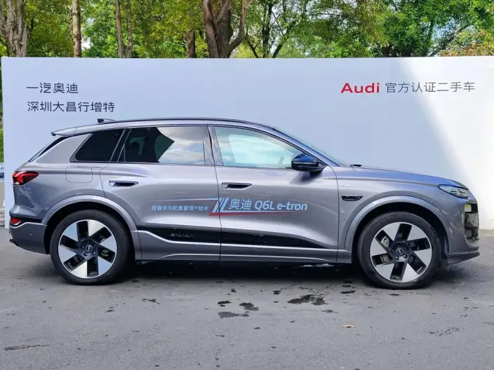 AUDI Q6L e-tron 2026 Model First Edition Pilot Edition – фото 6