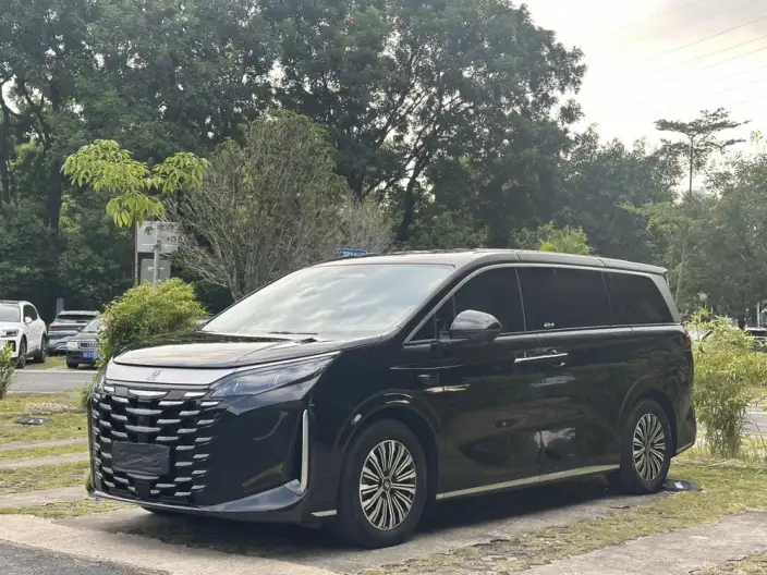 Xia 2025 Model DM-i 180KM Excellence Model – фото 1