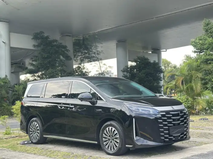 Xia 2025 Model DM-i 180KM Excellence Model – фото 3
