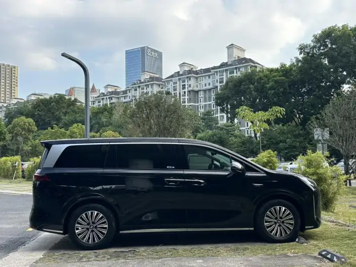 Xia 2025 Model DM-i 180KM Excellence Model – фото 8