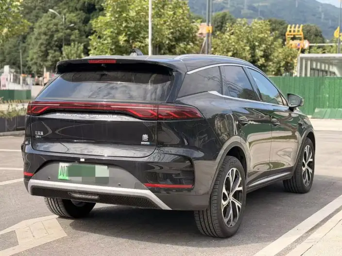 BYD Tang DM 2025 Model Smart Driving Edition DM-i 115KM Flagship Model – фото 5