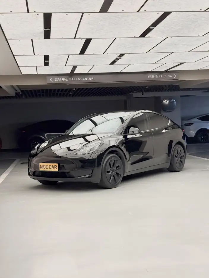 Model Y 2023 Model Rear-wheel drive version – фото 1