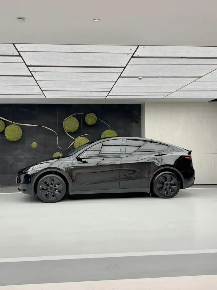 Model Y 2023 Model Rear-wheel drive version – фото 4
