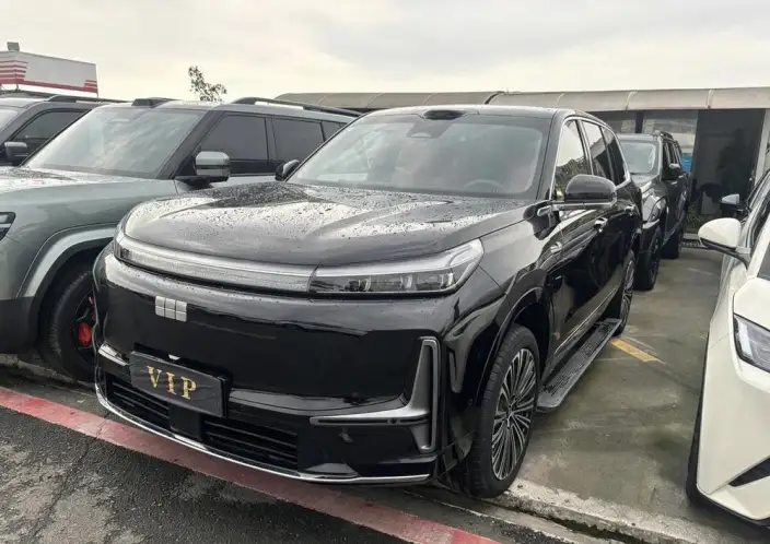 Geely M9 2025 Model 210km 4WD Pilot Edition – фото 1