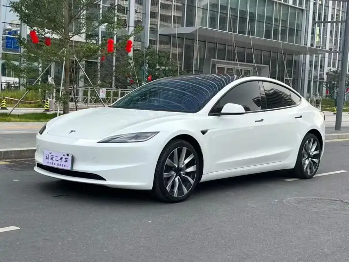 Model 3 2025 Model Facelift Rear-wheel drive version – фото 1