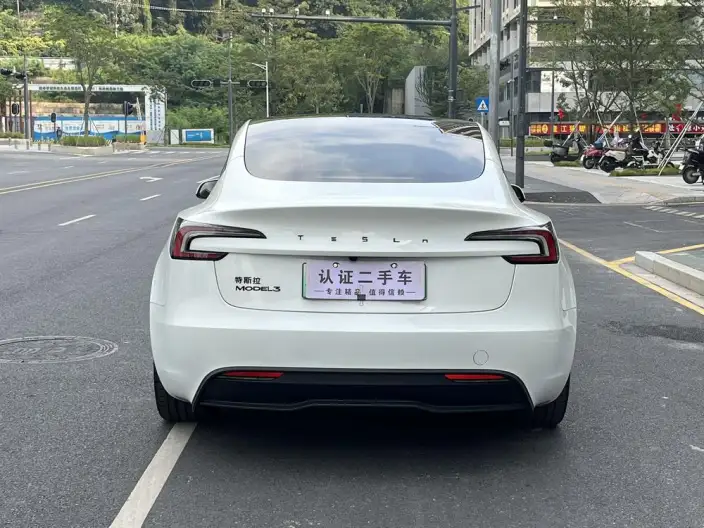 Model 3 2025 Model Facelift Rear-wheel drive version – фото 5