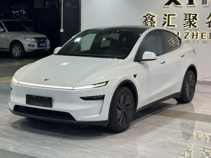 Model Y 2026 Model Rear-wheel drive version – фото 1