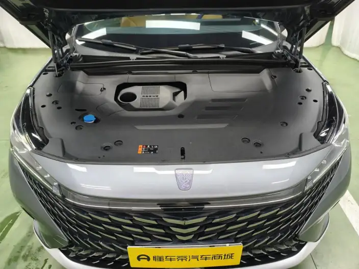 Roewe eRX5 2023 Model Chao Hybrid Zunrong Edition – фото 10