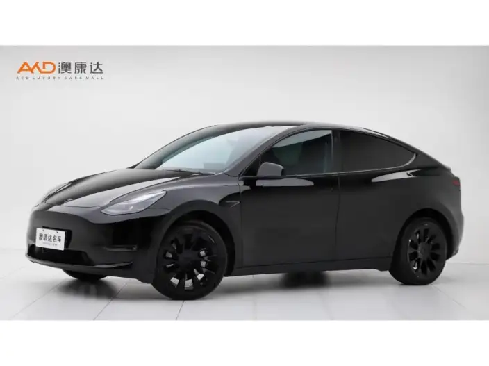 Model Y 2022 Model Long Battery Life Pro All-wheel drive version – фото 1