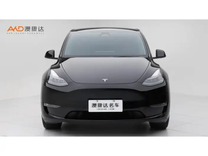 Model Y 2022 Model Long Battery Life Pro All-wheel drive version – фото 2