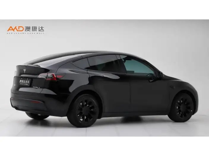 Model Y 2022 Model Long Battery Life Pro All-wheel drive version – фото 4