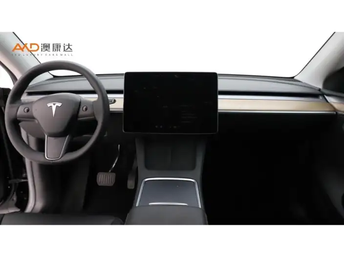 Model Y 2022 Model Long Battery Life Pro All-wheel drive version – фото 7